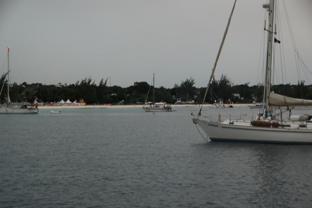 Tierra a la vista ! llevagos al caribe